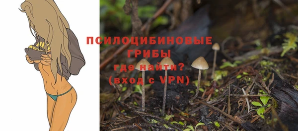 PSILOCYBIN Волоколамск